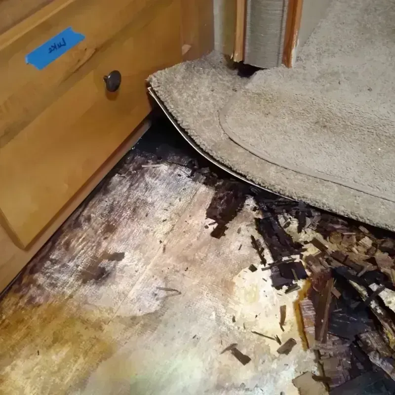 Best Wood Floor Water Damage Service in Inverness Highlands South, FL